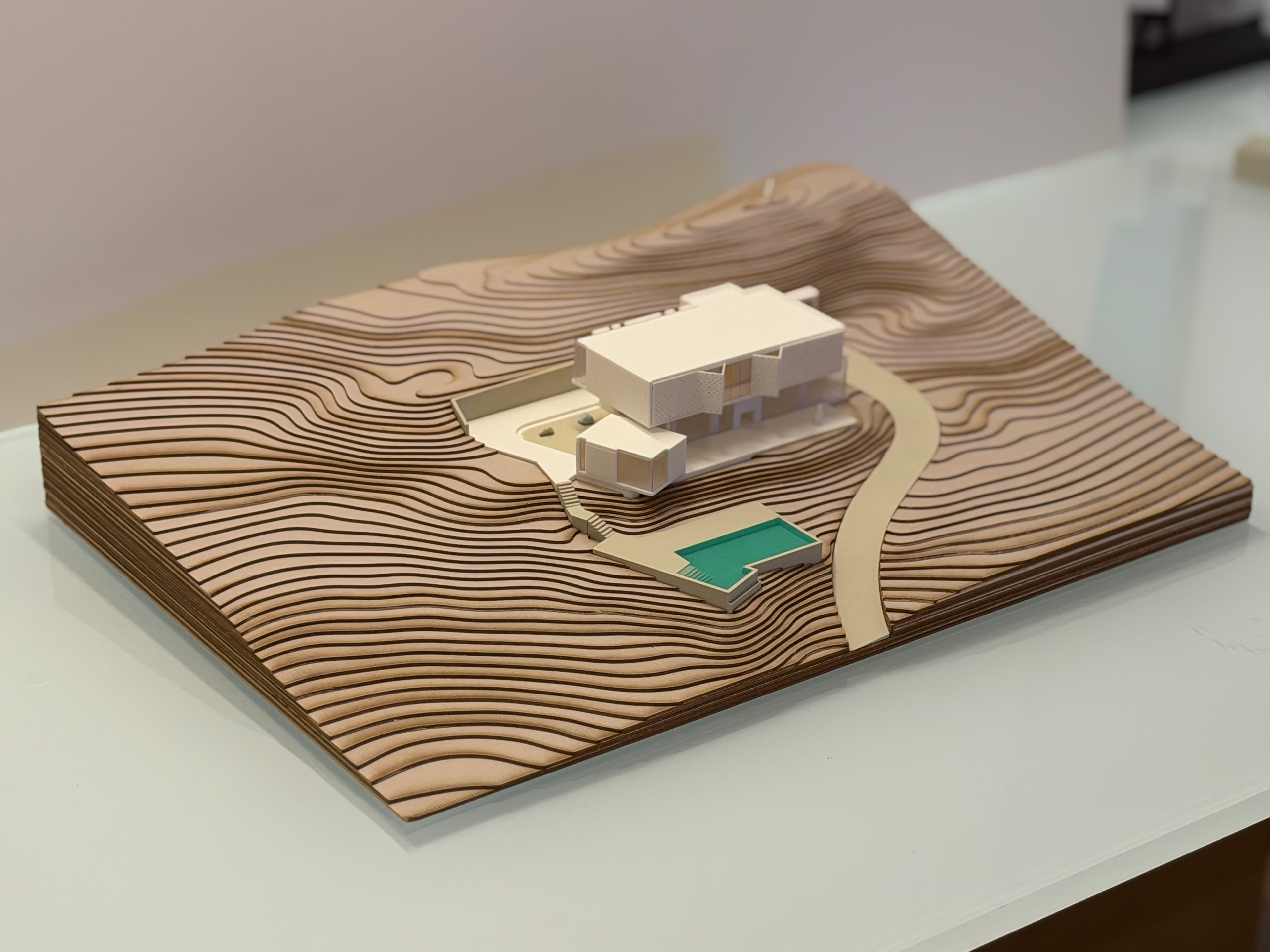 Project plate 30