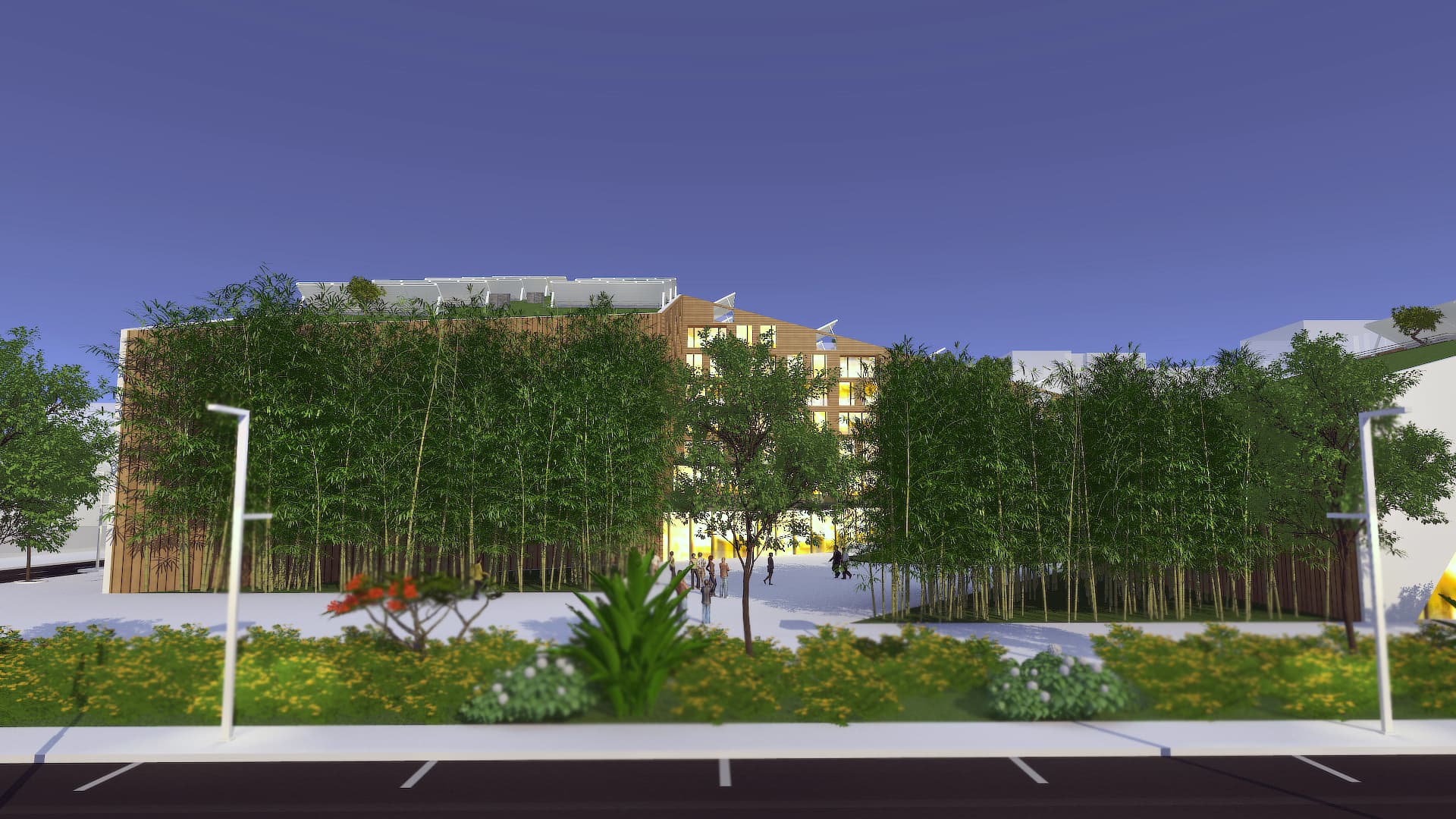 project image 9