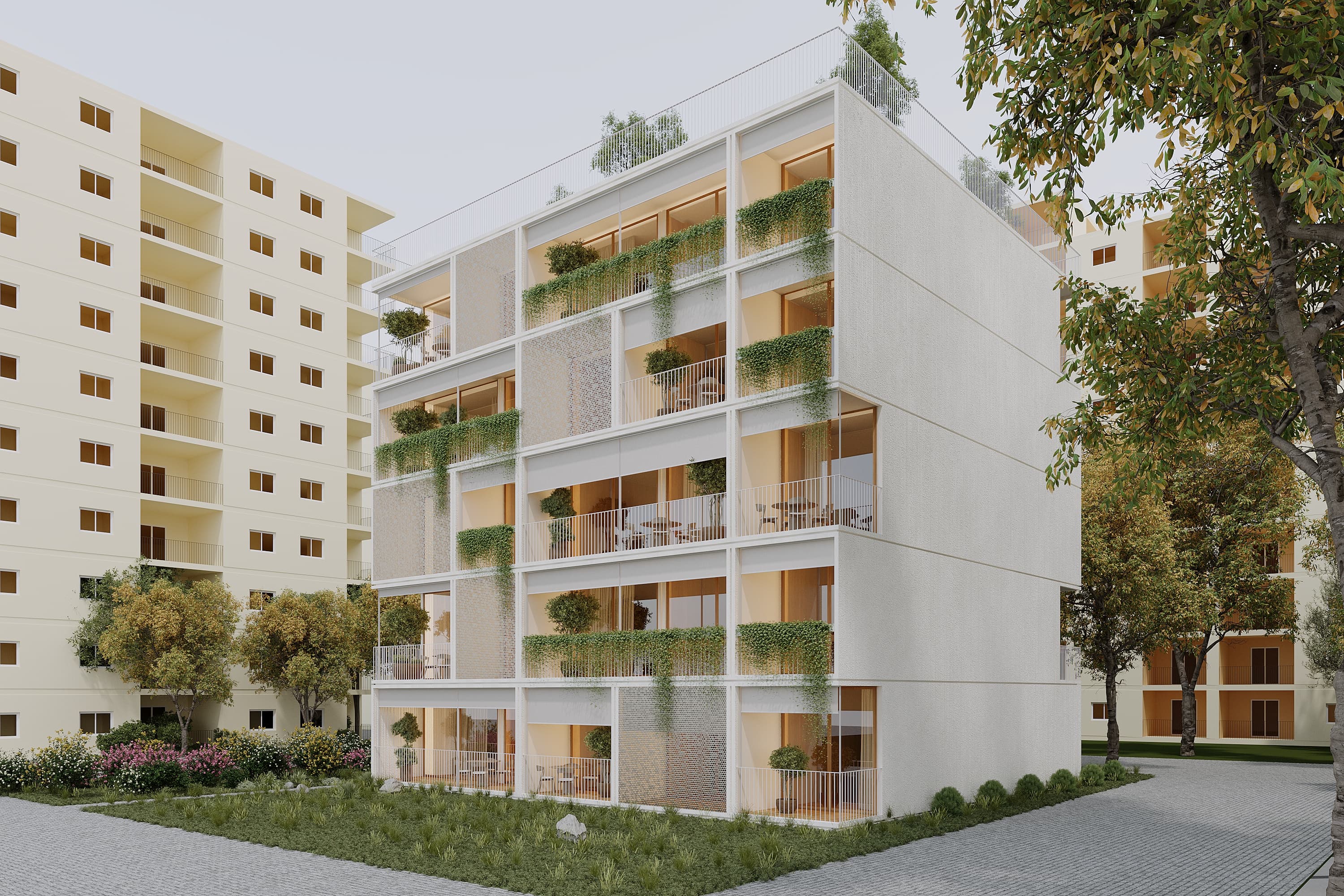project image 7