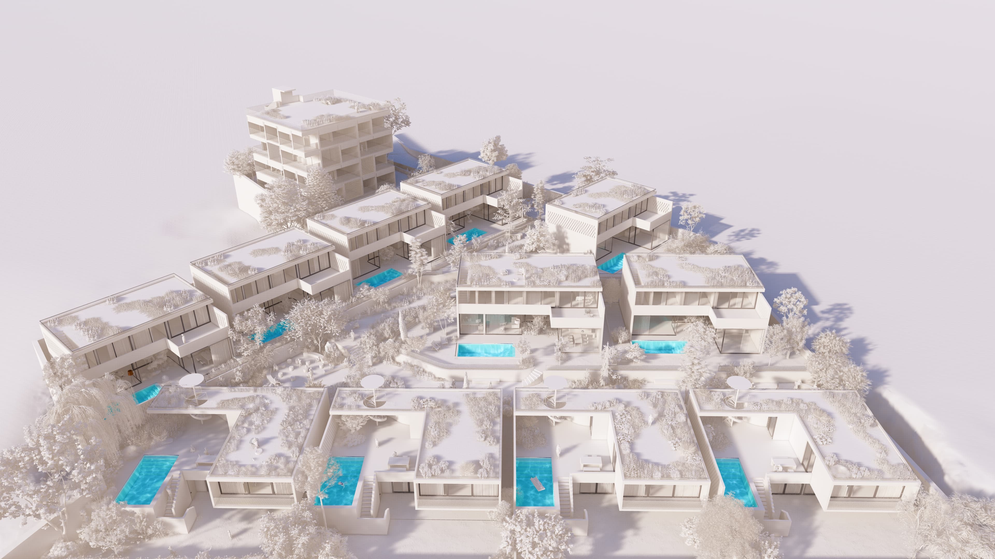 project image 21