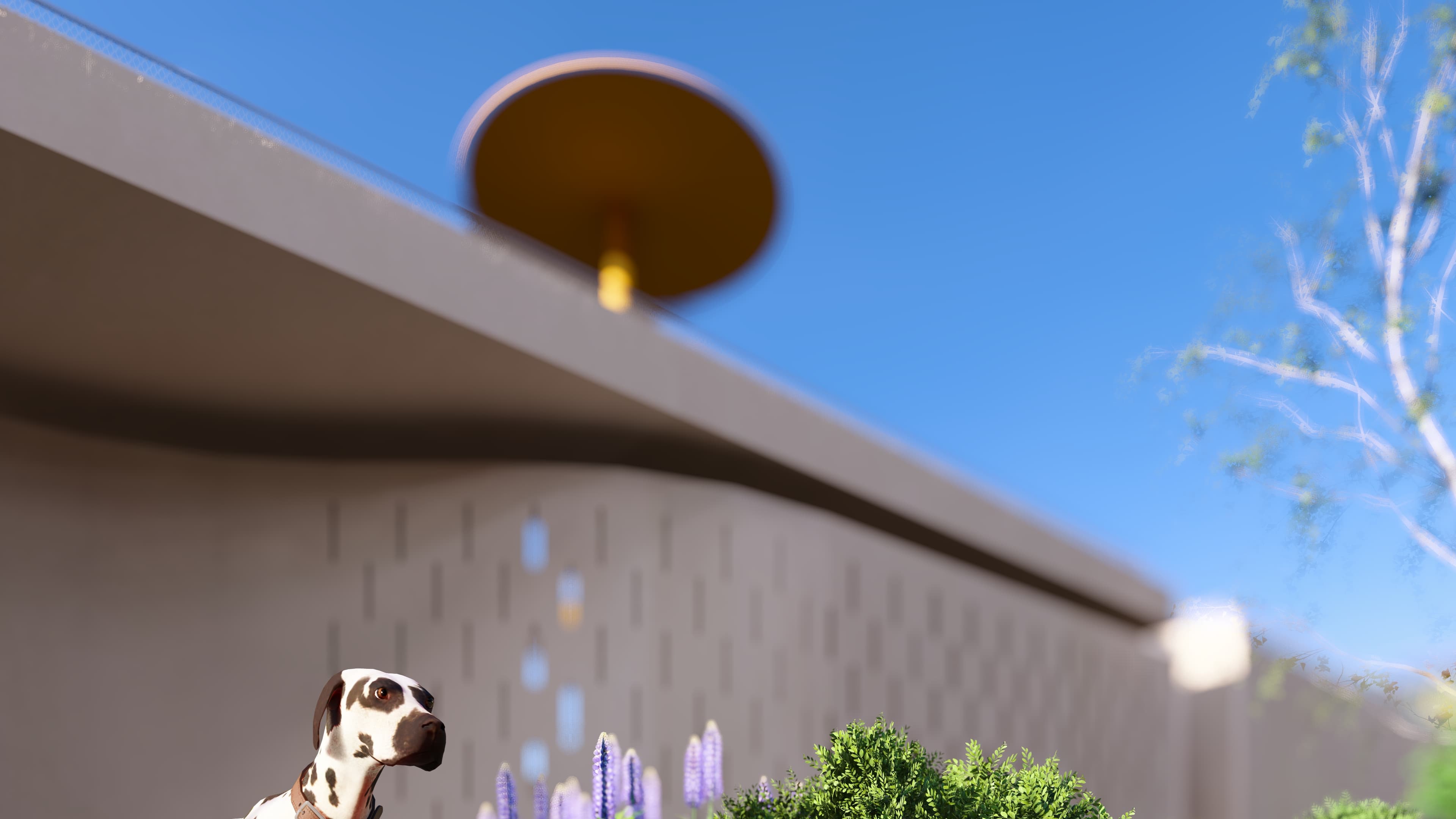 project image 12